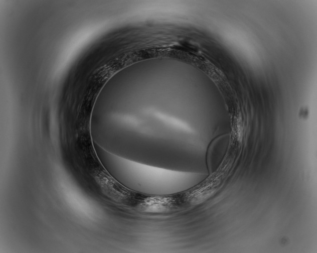 X0000100310526200806121043