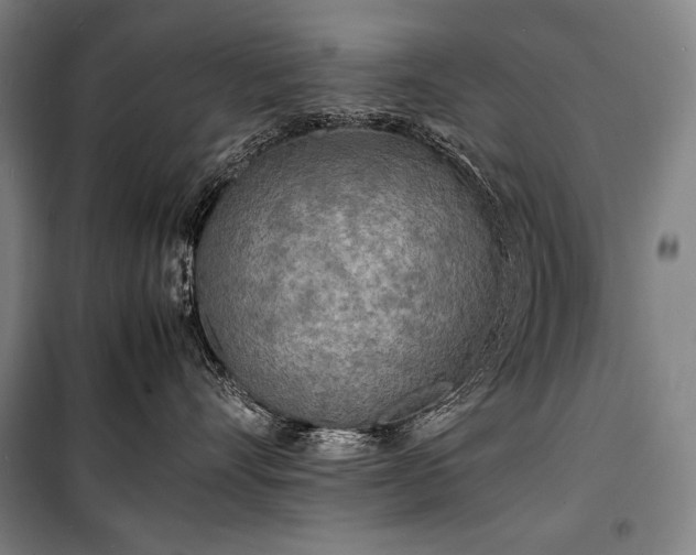 X0000100310528200806121043