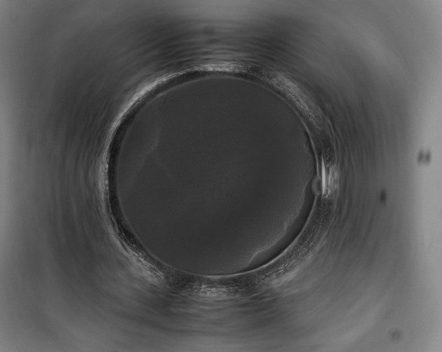 X0000100310531200806121043