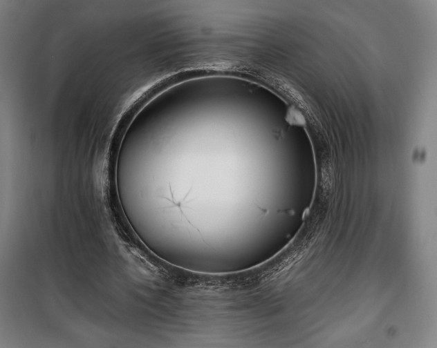 X0000100310532200806121043