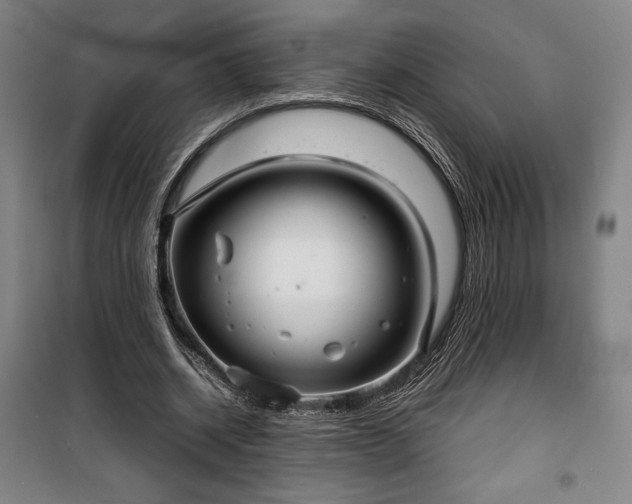 X0000100310534200806121043
