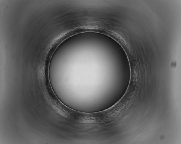 X0000100310535200806121043