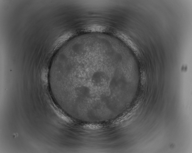 X0000100310537200806121043