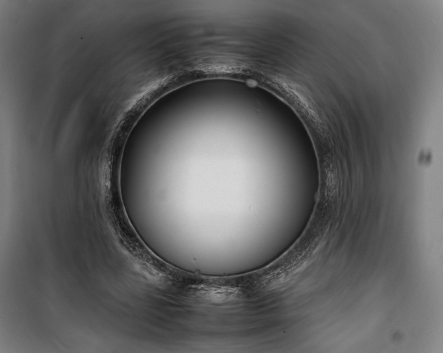X0000100310539200806121043