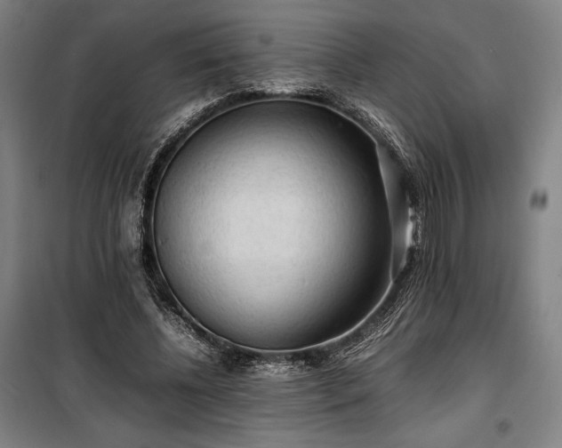X0000100310540200806121043