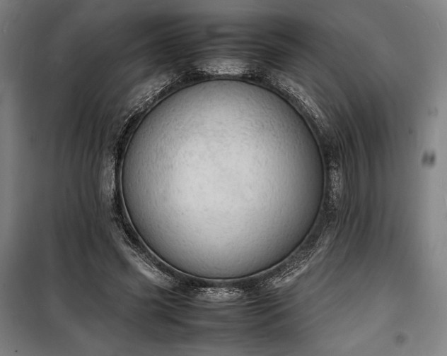 X0000100310541200806121043
