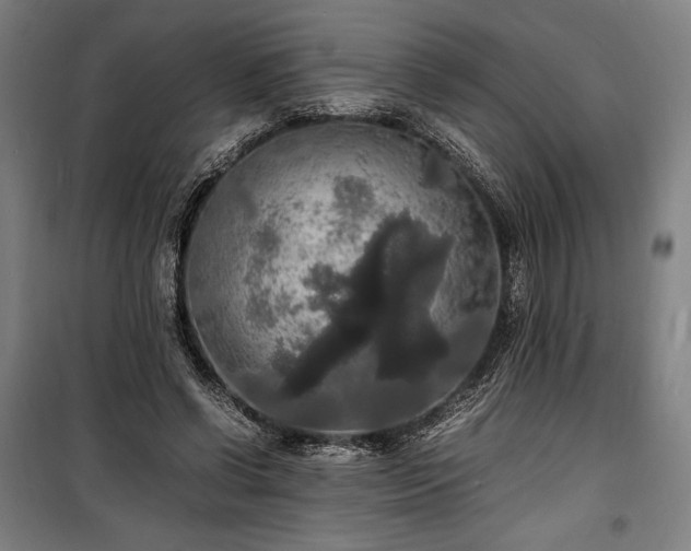 X0000100310542200806121043