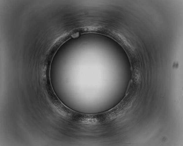 X0000100310543200806121043