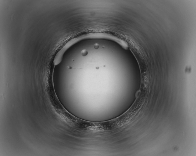 X0000100310544200806121043