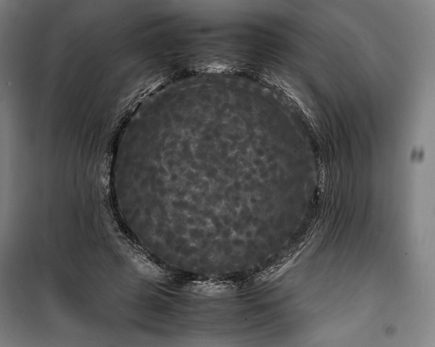 X0000100310545200806121043
