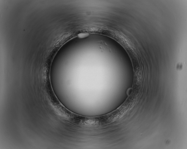 X0000100310546200806121043