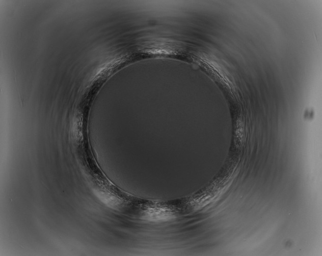 X0000100310547200806121043
