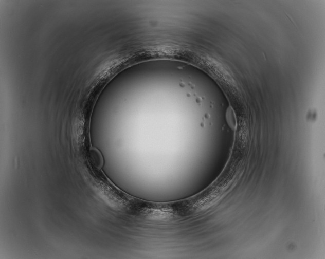 X0000100310548200806121043