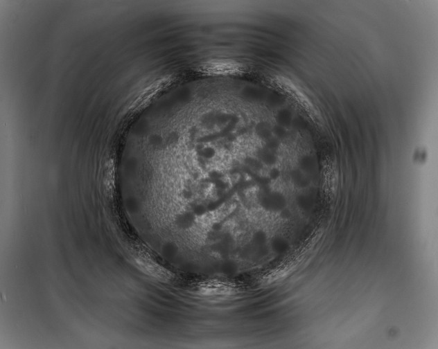 X0000100310549200806121043