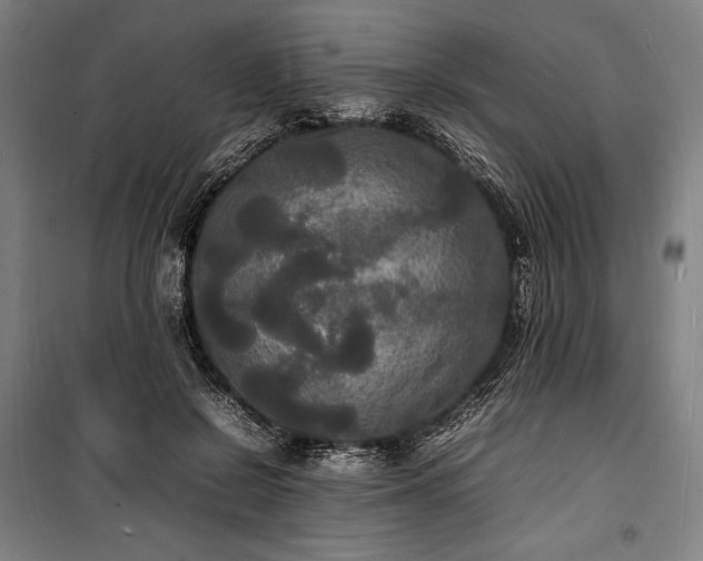 X0000100310550200806121043