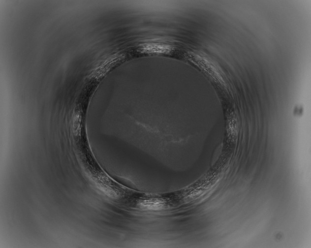 X0000100310551200806121043