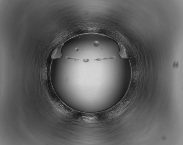X0000100310552200806121043