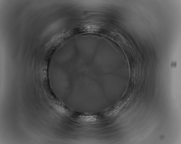 X0000100310553200806121043