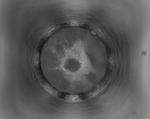 X0000100310554200806121043