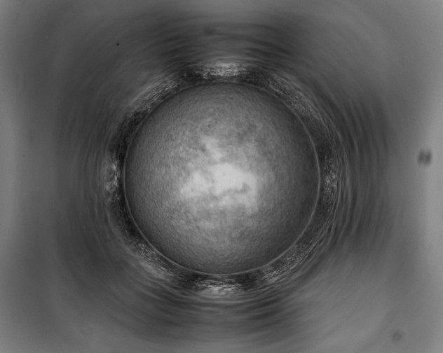 X0000100310555200806121043