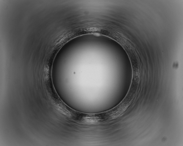 X0000100310556200806121043