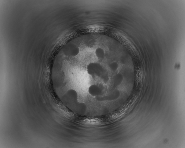 X0000100310557200806121043