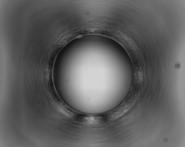 X0000100310558200806121043