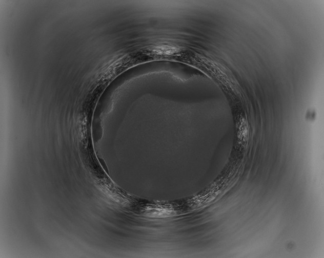 X0000100310559200806121043