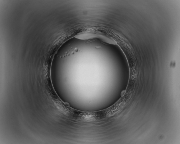 X0000100310560200806121043