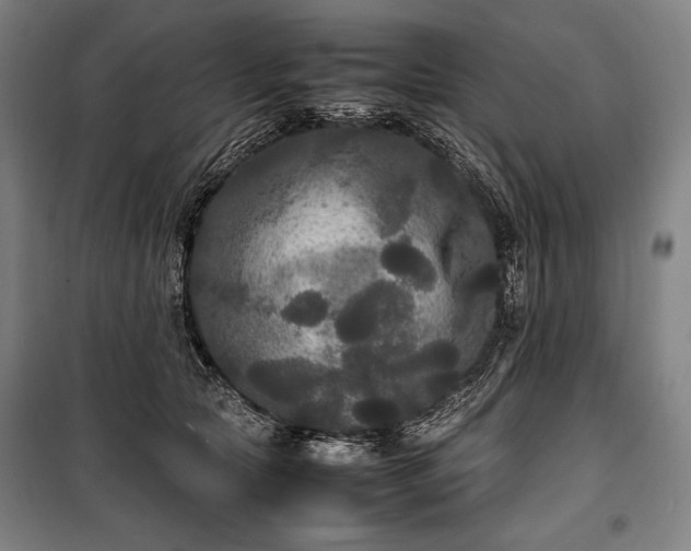 X0000100310561200806121043