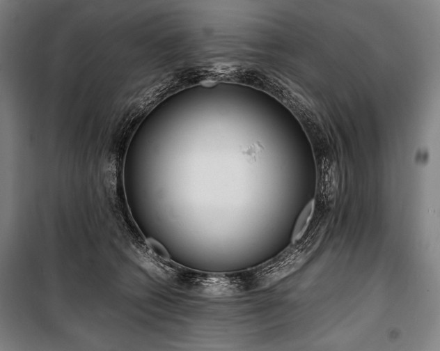 X0000100310562200806121043