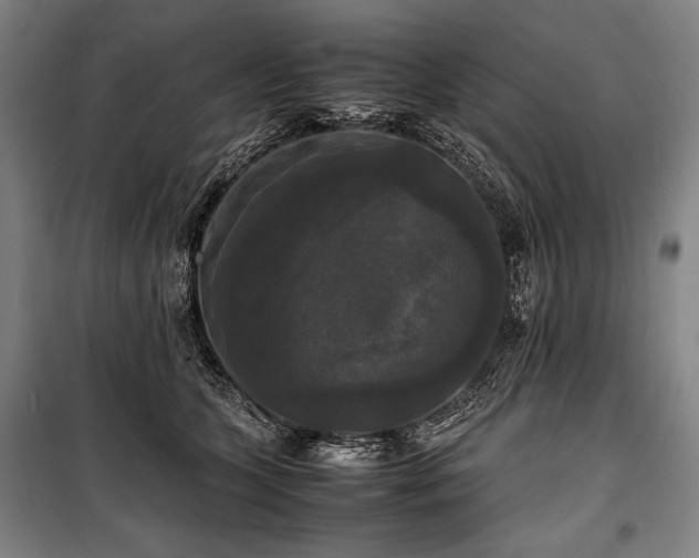 X0000100310563200806121043
