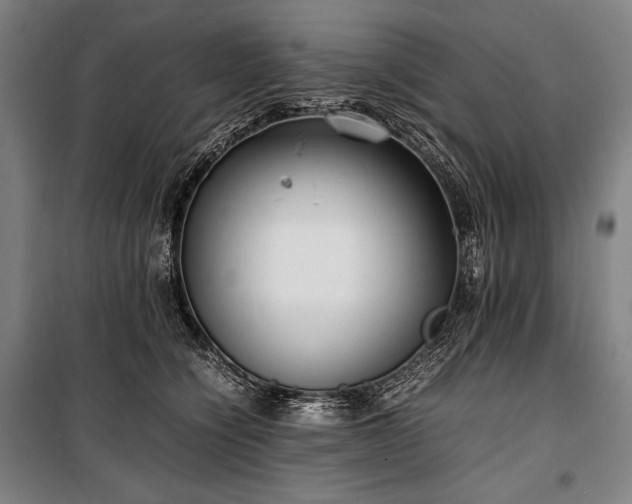 X0000100310564200806121043