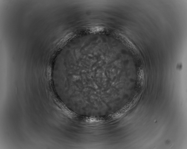 X0000100310565200806121043