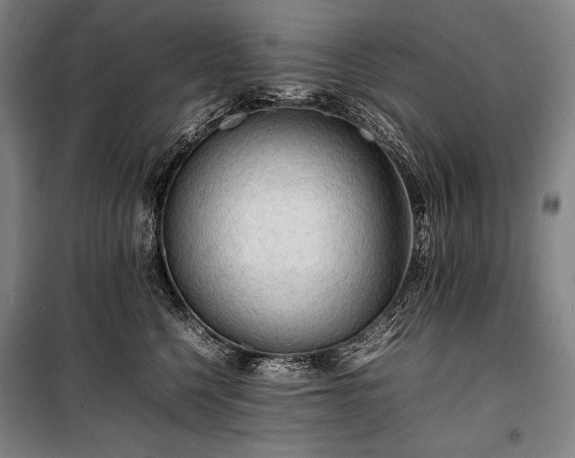 X0000100310568200806121043