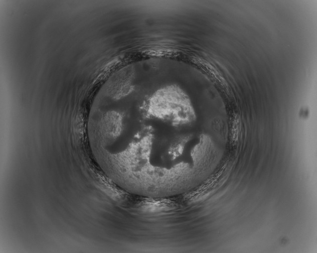 X0000100310569200806121043