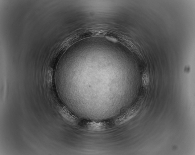 X0000100310570200806121043