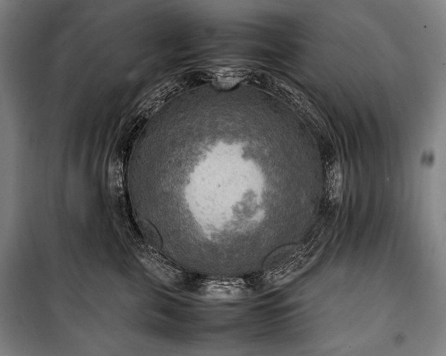 X0000100310571200806121043