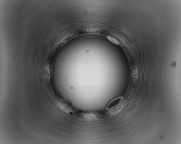 X0000100310572200806121043