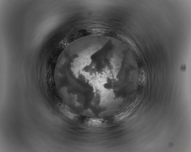 X0000100310573200806121043