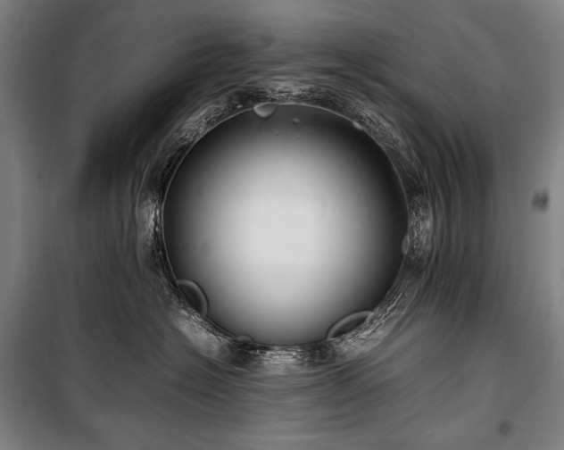 X0000100310574200806121043