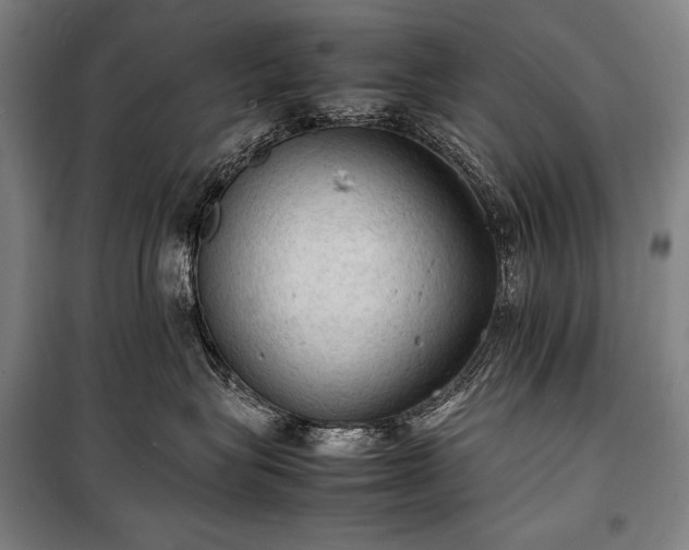 X0000100310575200806121043