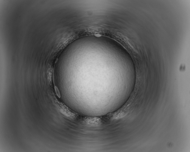 X0000100310576200806121043