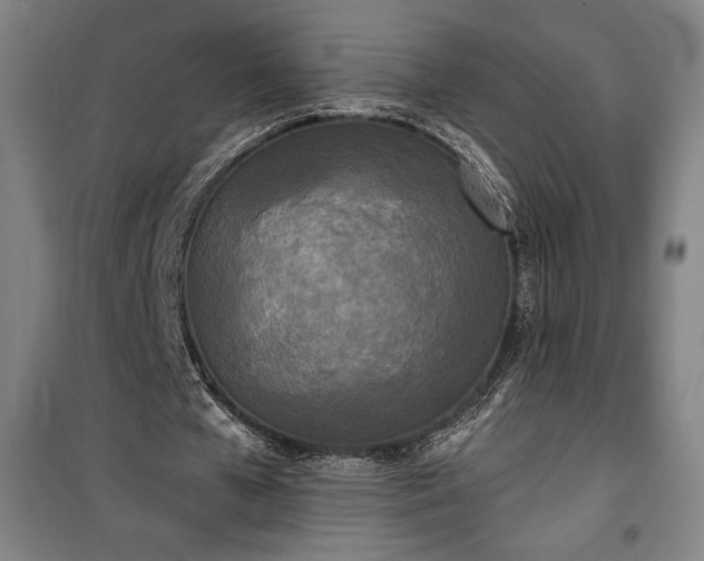 X0000100310577200806121043