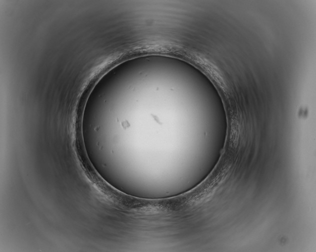 X0000100310578200806121043