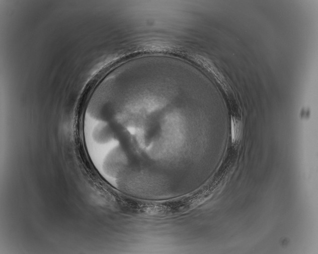 X0000100310579200806121043
