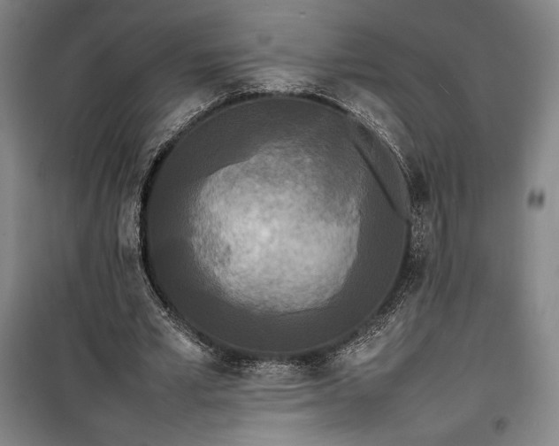 X0000100310581200806121043
