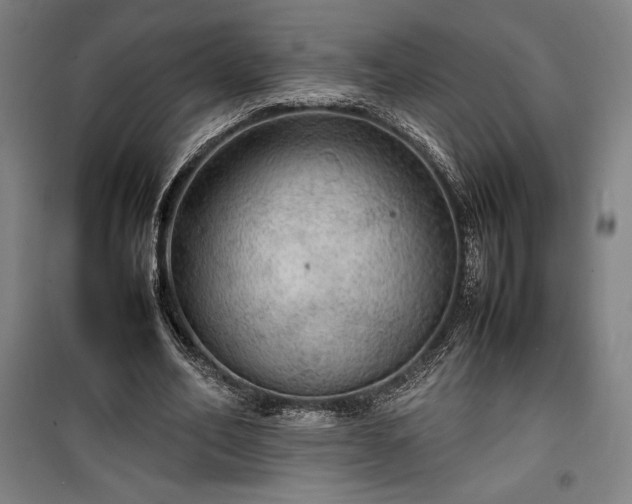 X0000100310582200806121042