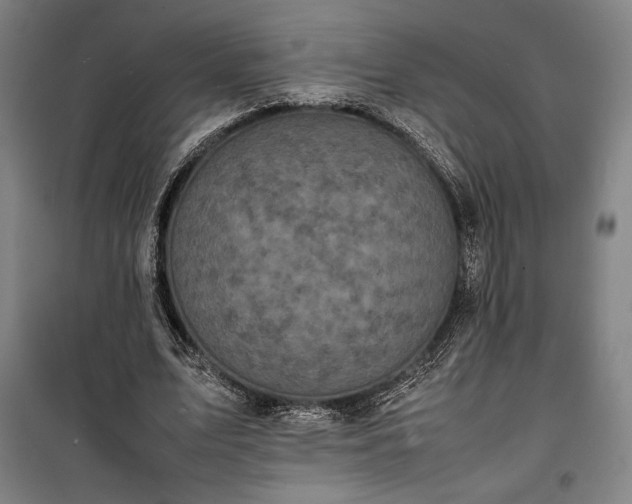 X0000100310583200806121042