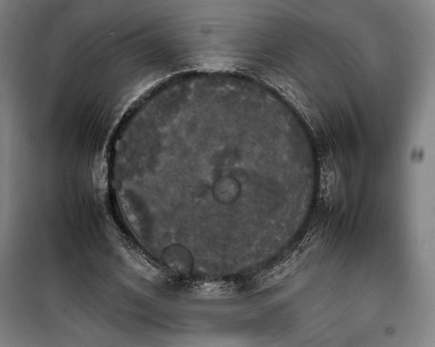 X0000100310584200806121042